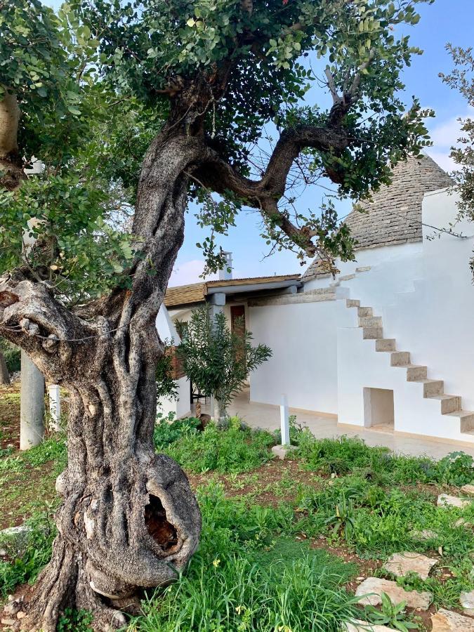 Trullo Labellavita Putignano Eksteriør bilde